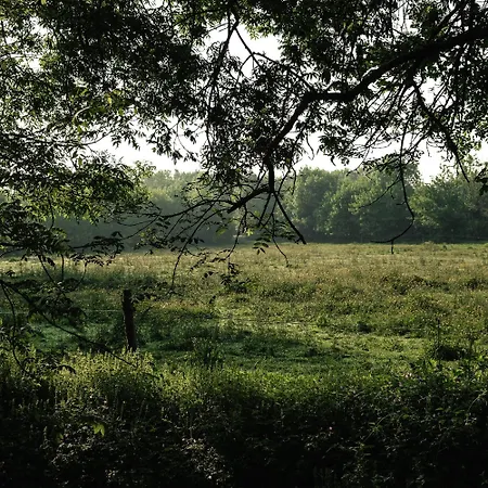 Maison Sonora - بيت ضيافة 3*